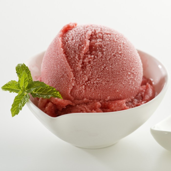 Sorbet