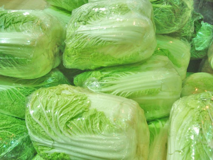 Napa cabbage lettuce nutrition facts